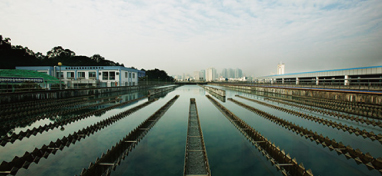 兩會聲音：城市“新洼地”之痛 如何補齊城市地下管網(wǎng)短板？