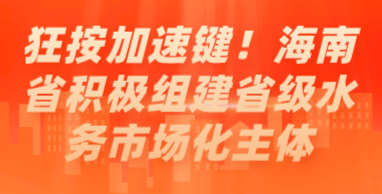 狂按加速鍵！海南省積極組建省級水務(wù)市場化主體